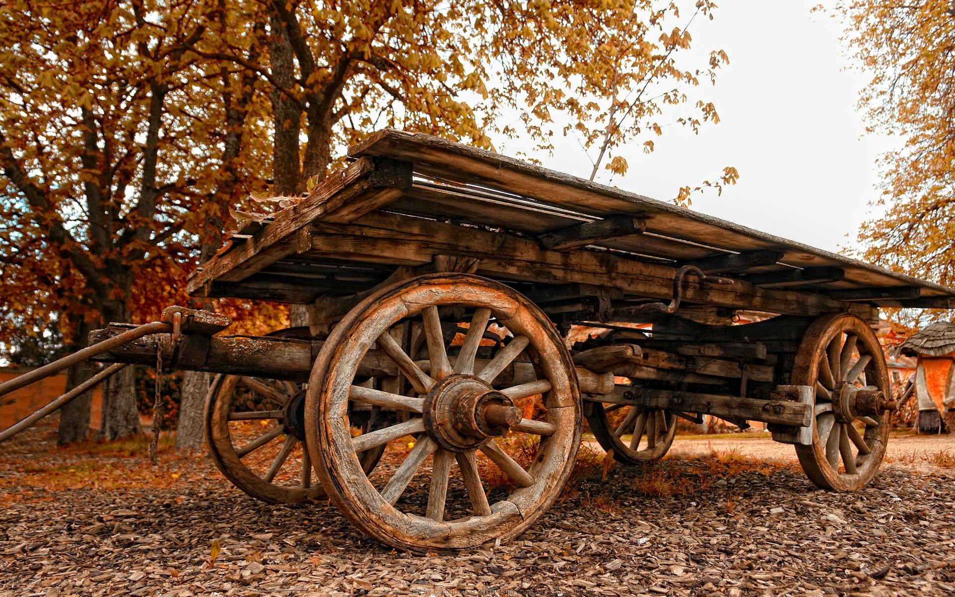 autumn wheel wagon carriage transportation system wood vintage cart wooden old vehicle rust rustic travel rusty leaf