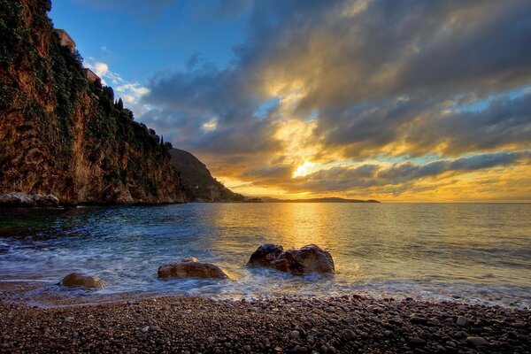 Sunset on a tree on a rocky seashore