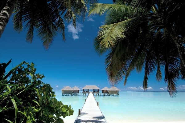 View of the beach houses in the sea