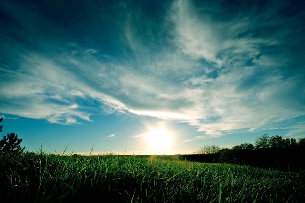 Morgenlandschaft im Dorf: Himmel und Gras