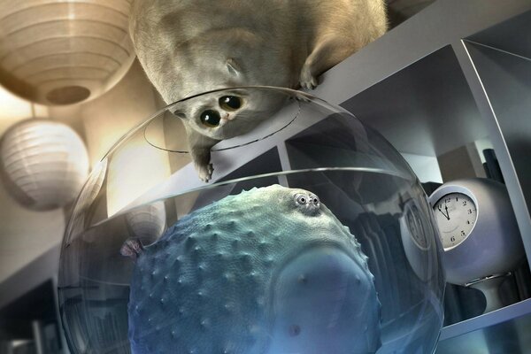 奇怪的动物在宇宙飞船