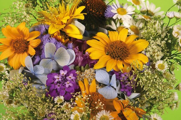 Summer bouquet of natural beauty