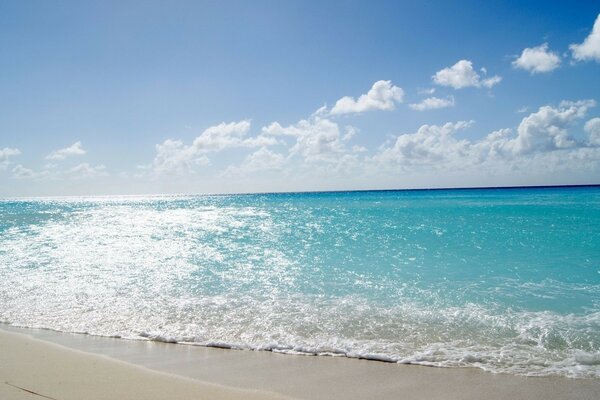 Sandy beach by the blue sea