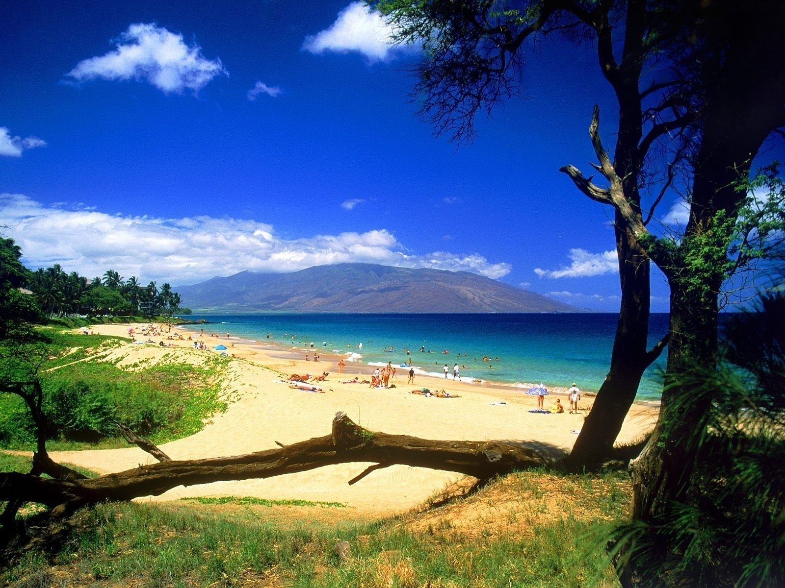 mare e oceano acqua natura albero paesaggio viaggi cielo spiaggia all aperto mare mare oceano estate sole alba tramonto bel tempo