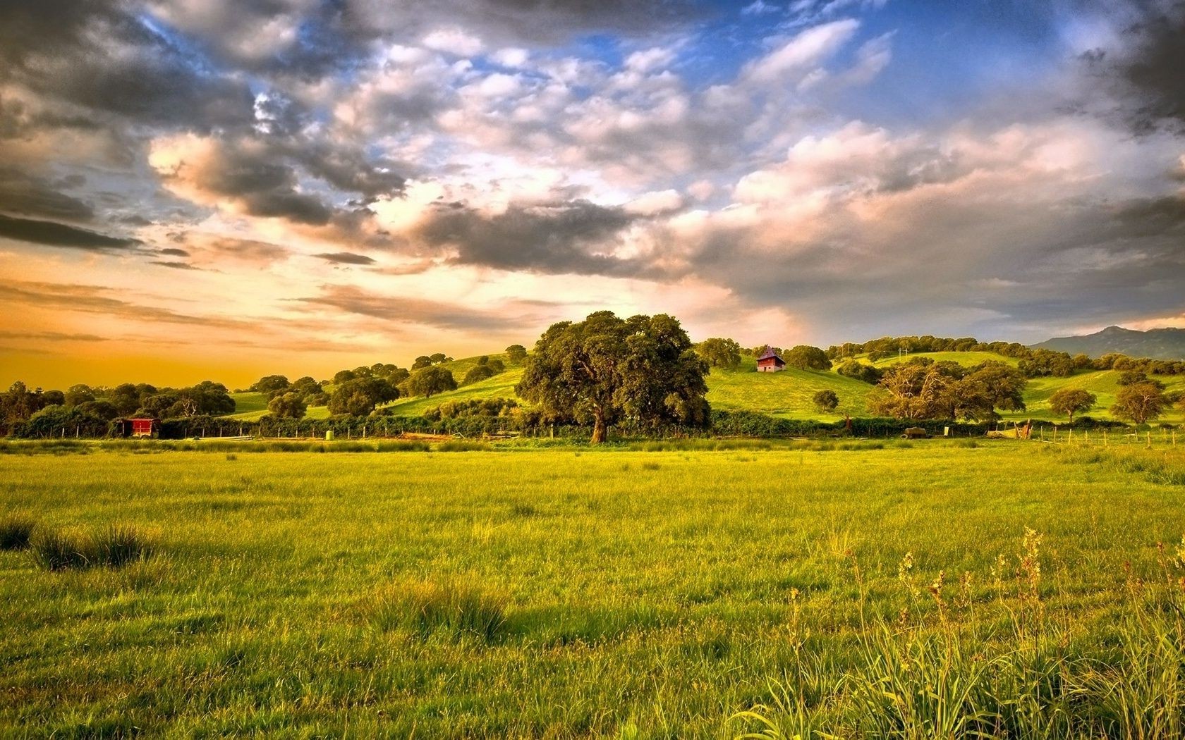 verano paisaje campo naturaleza agricultura rural cielo campo granja hierba sol pasto puesta de sol al aire libre árbol buen tiempo heno país nube