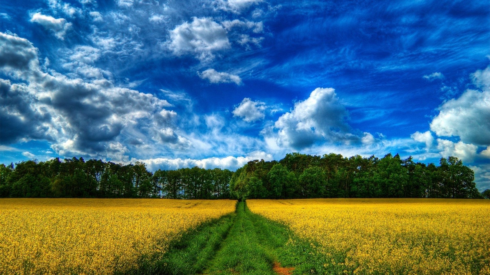 sommer himmel landschaft natur des ländlichen feld landwirtschaft wolke landschaft gutes wetter im freien bauernhof horizont sonne wetter gras weide baum boden