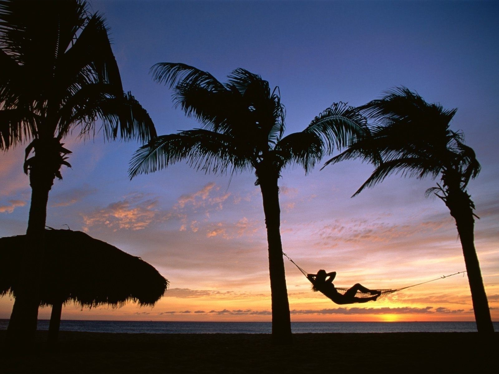 meer und ozean strand palmen silhouette sonnenuntergang tropisch hintergrundbeleuchtung sonne baum reisen exotisch meer sand wasser ozean