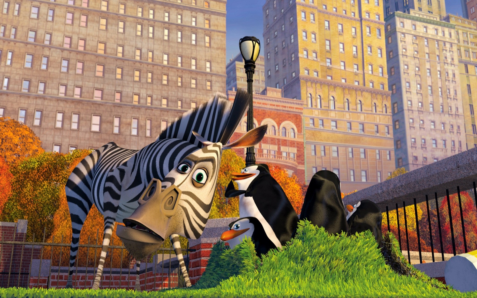 cartoons city outdoors architecture urban building park cartoon zebra