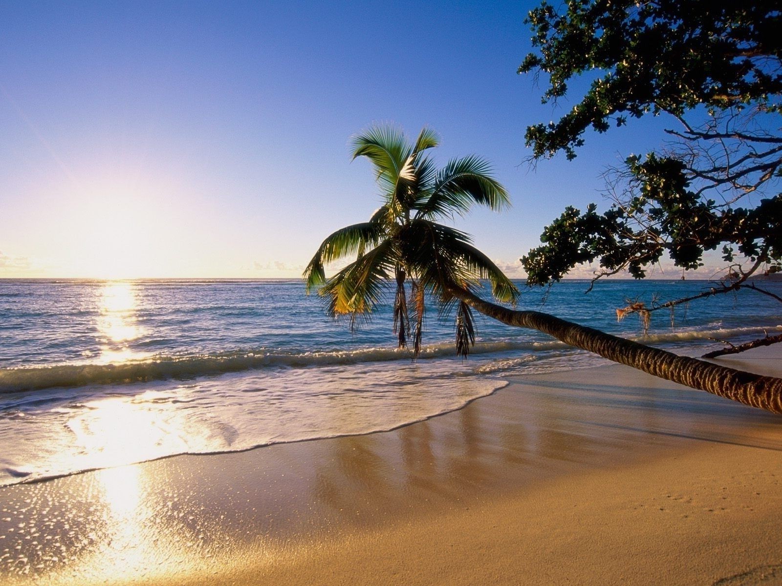 meer und ozean strand sand sonne tropisch wasser ozean reisen sommer meer urlaub landschaft meer sonnenuntergang insel entspannung gutes wetter exotisch idylle himmel brandung