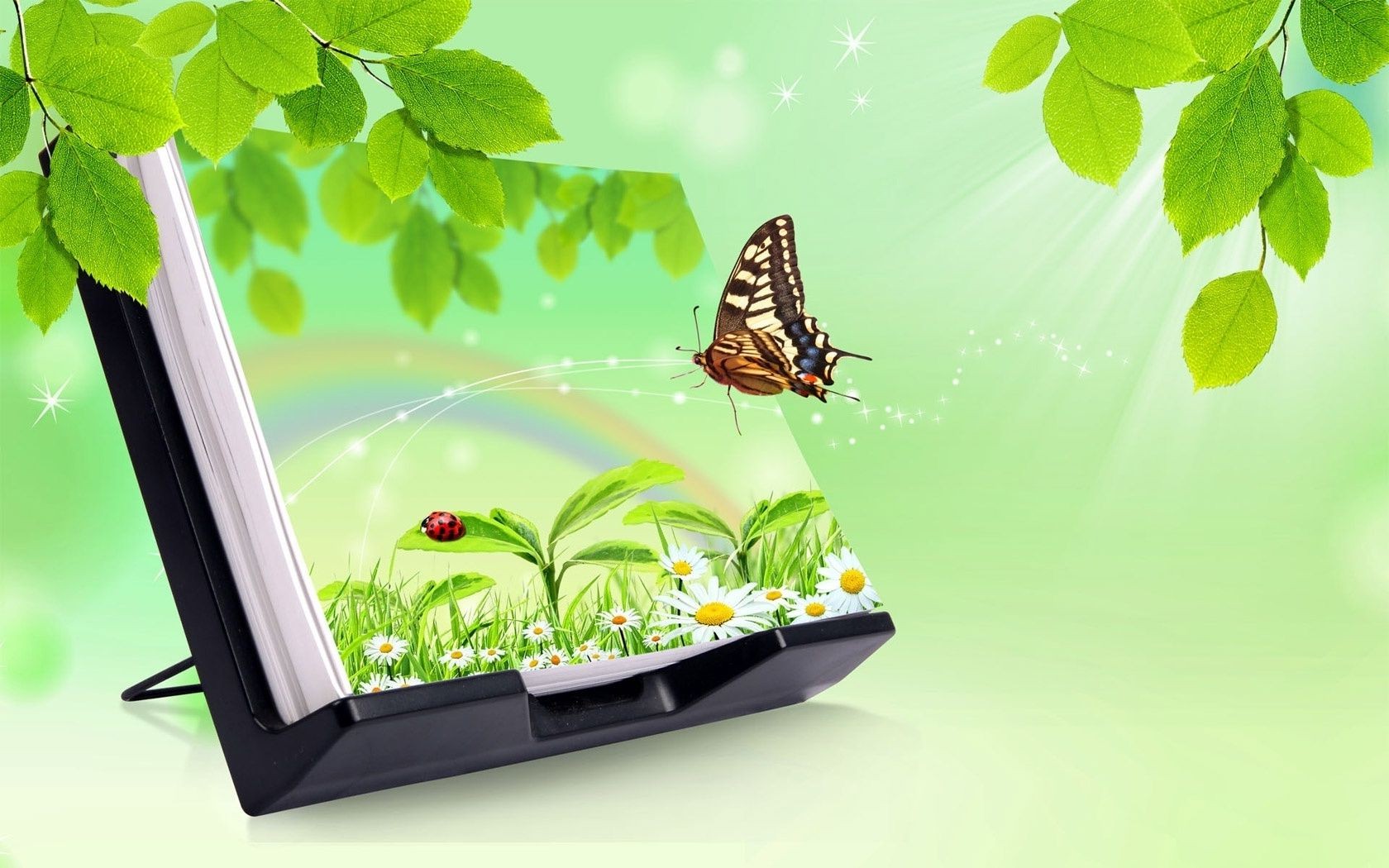 animals nature leaf butterfly summer flora grass garden outdoors