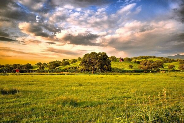 Paesaggio di un campo di zeoen e bellissime nuvole