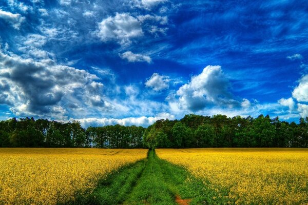 La naturaleza no olvidada de los paisajes rurales