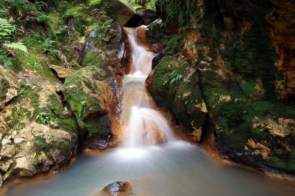 Wasserfall zwischen grünen Schluchten