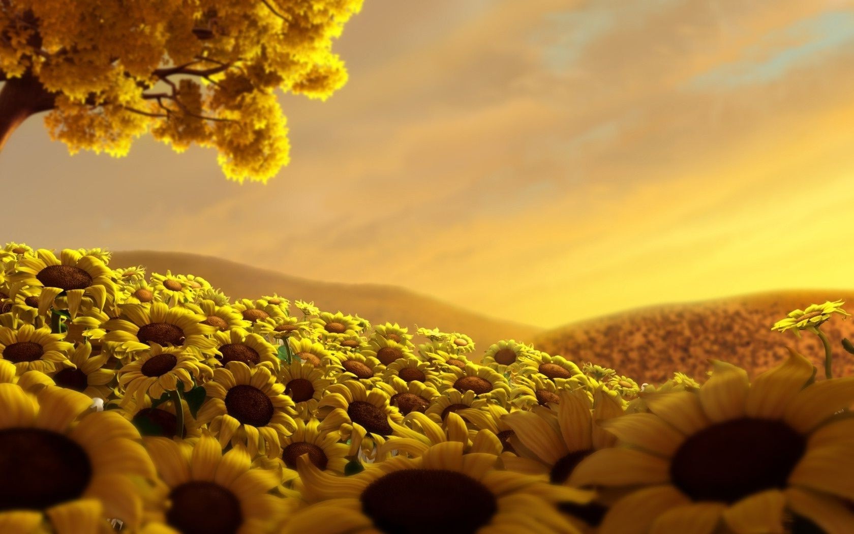 landscapes nature flower summer flora sun color outdoors beautiful fair weather sunflower desktop bright leaf