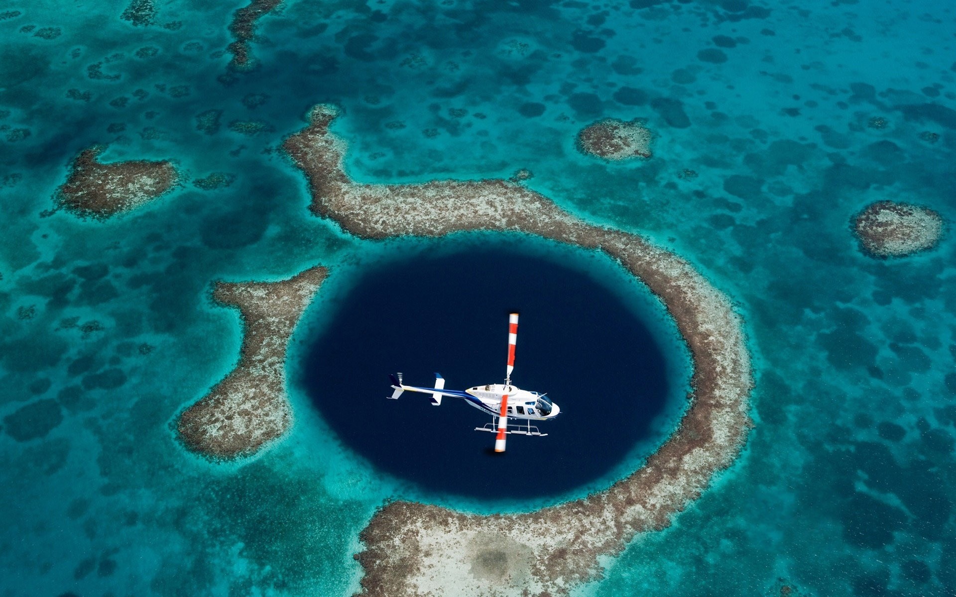 été sous-marin océan mer eau corail voyage récif paysage poissons lagune mouche