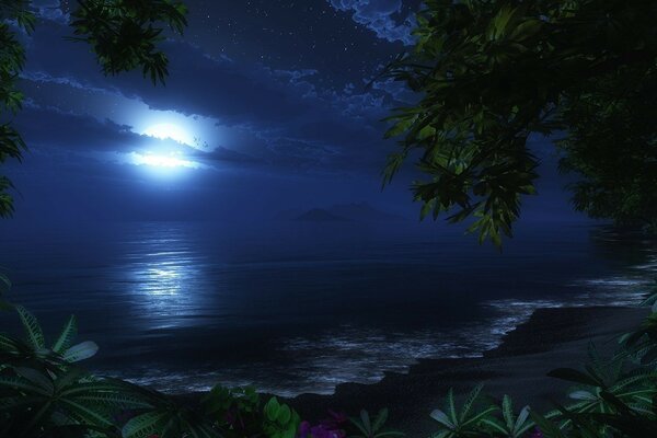 Plage de nuit. Blue Moon