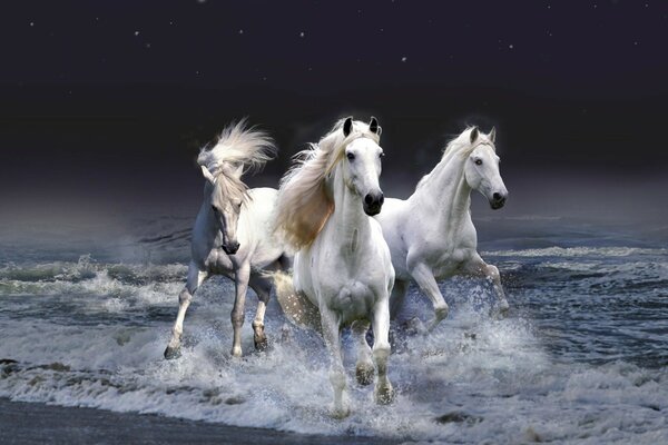 Three white horses are racing on the waves