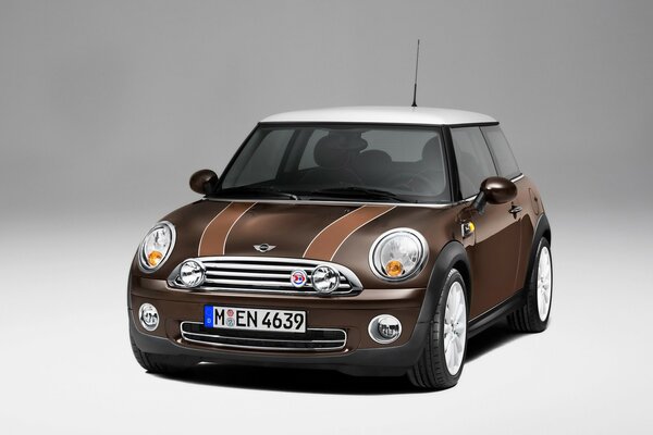 Тамаша дөңгелектердегі Mini көлігі