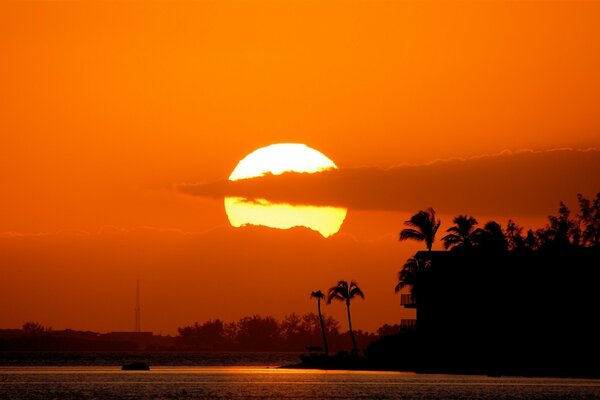 Sunset on the background of water and trees