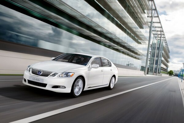 White lexus on the road is the best feeling