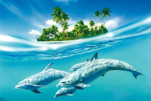 Dolphins in a fairyland underwater