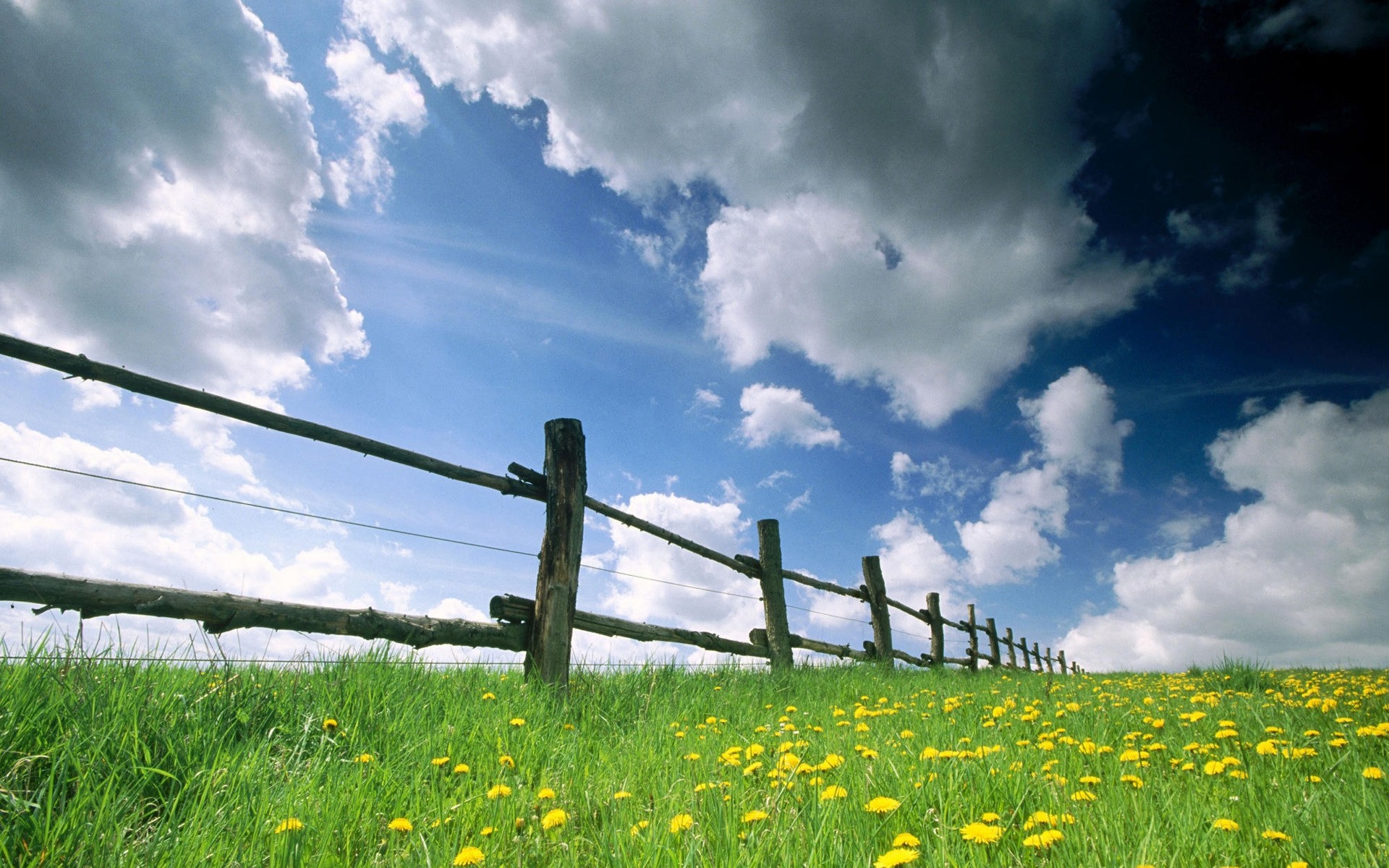 frühling gras landschaft feld natur heuhaufen blume des ländlichen sommer himmel bauernhof landschaft land zaun landwirtschaft löwenzahn sonne wolke im freien flora blumen