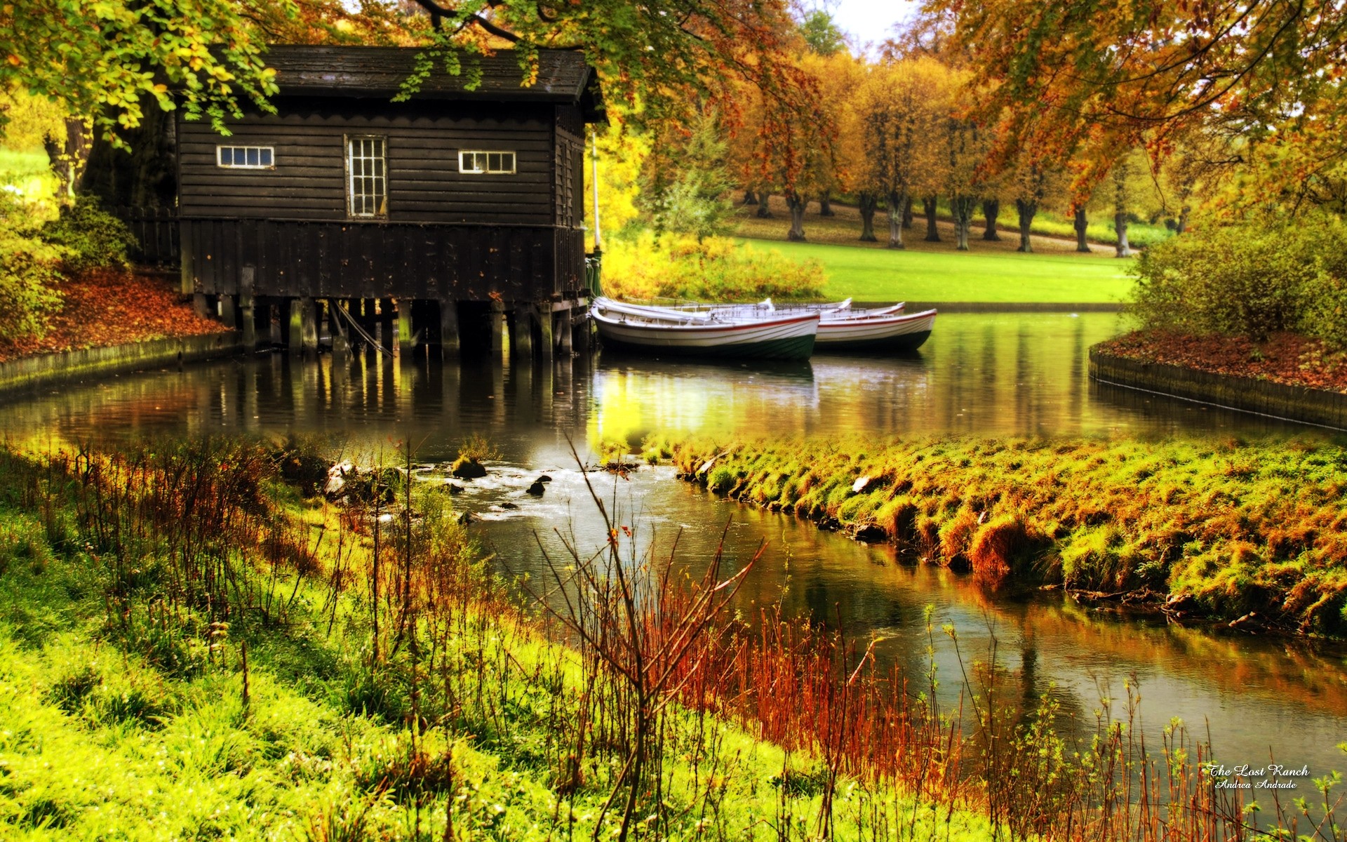 herbst wasser herbst see schwimmbad fluss im freien reflexion natur holz holz park landschaft blatt reisen landschaftlich