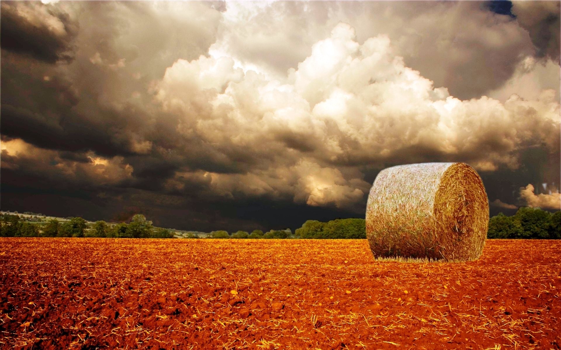 autunno cielo grano rurale agricoltura autunno tramonto all aperto campagna natura pascolo mais fiocchi paesaggio oro