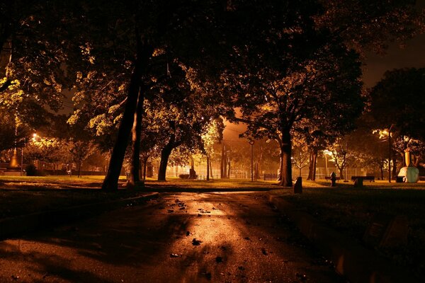 Calle oscura en el parque por la noche