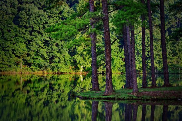 Curva suave del río entre bosques y rocas