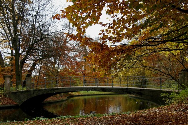 Paisaje de otoño en el parque junto al río