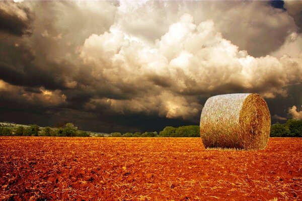 Champ sombre d automne. Fenaison