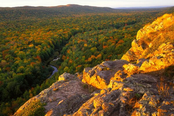 Top view of a beautiful autumn forest