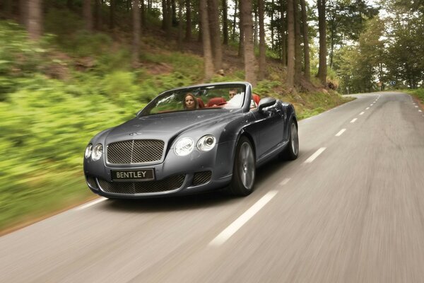 Auto auf der Straße im Wald. Bentley auf Asphalt