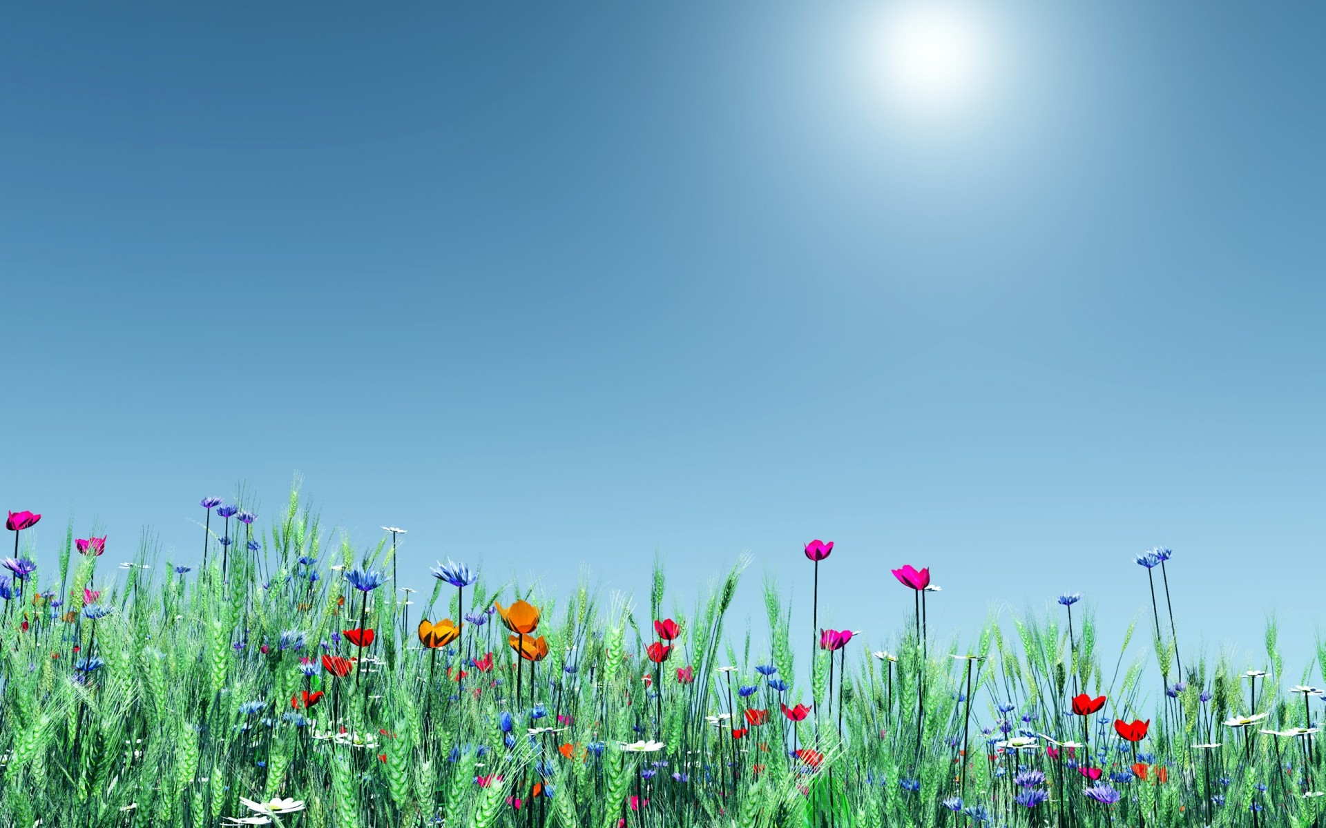 blumen feld gras natur blume sommer des ländlichen sonne heuhaufen gutes wetter wachstum flora landschaft im freien hell himmel blatt