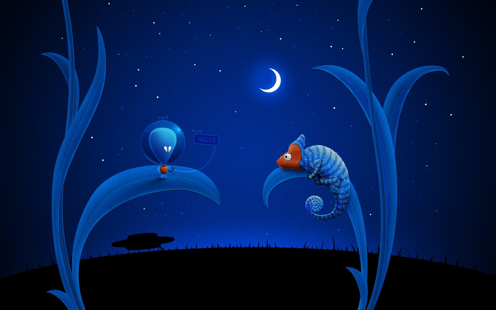 animals moon underwater fish jellyfish