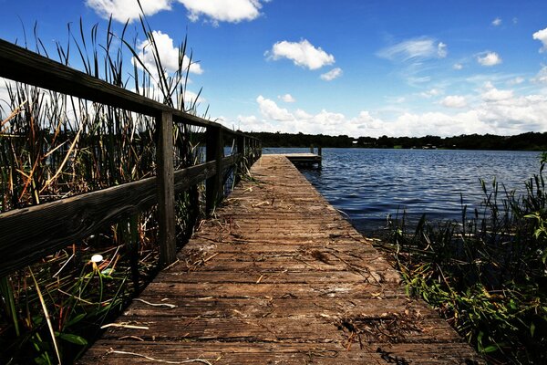 Brücke im Grasteich mit Schilf