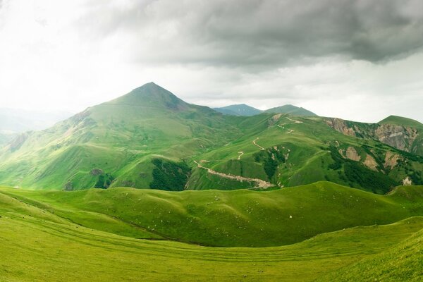 Landscape mountain green meadows