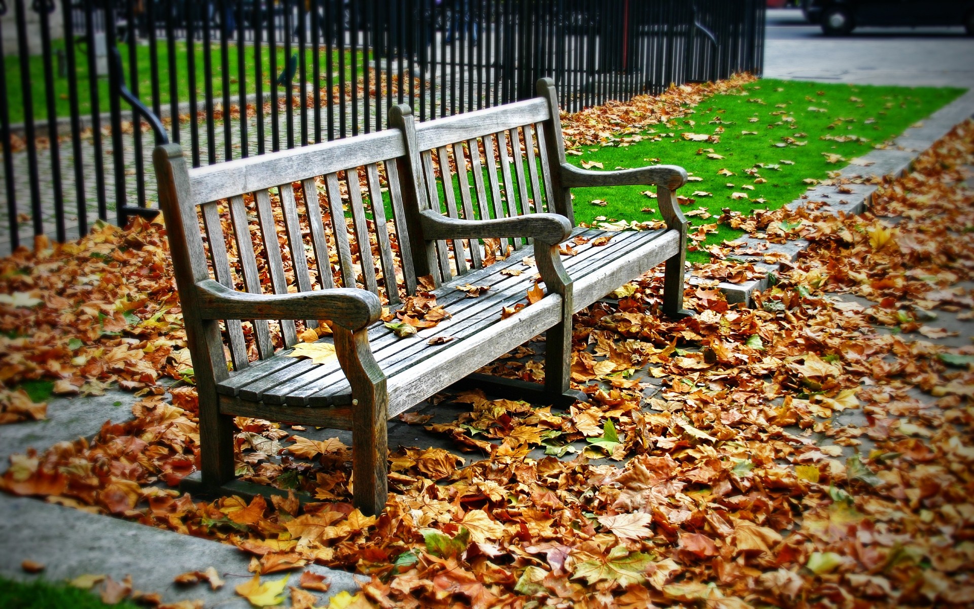 herbst bank holz park ort blatt garten aus holz natur herbst holz saison im freien gras im freien stuhl farbe rasen blätter