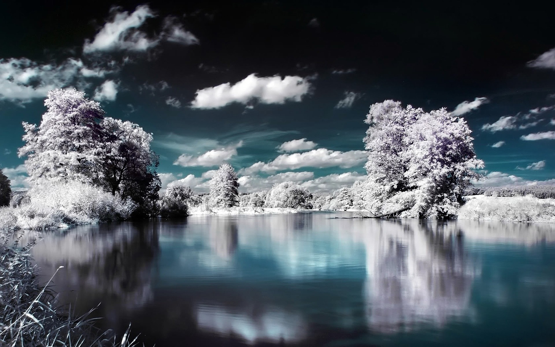 inverno neve acqua ghiaccio paesaggio freddo natura congelato