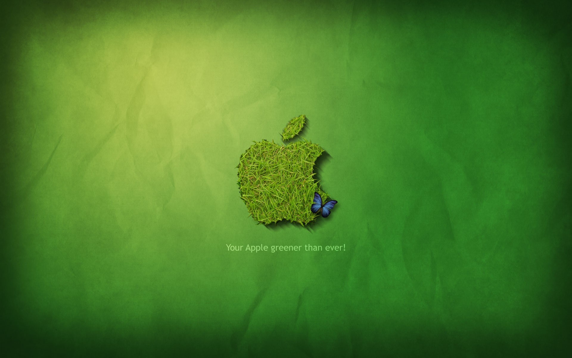 apple desktop natur blatt flora