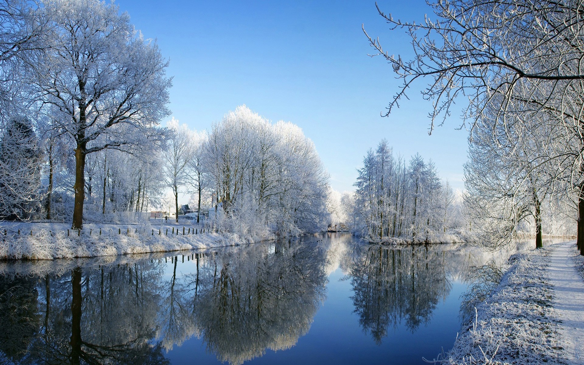 winter tree landscape cold snow wood season frost nature frozen branch weather ice park scenic scene reflection fall bright lake trees