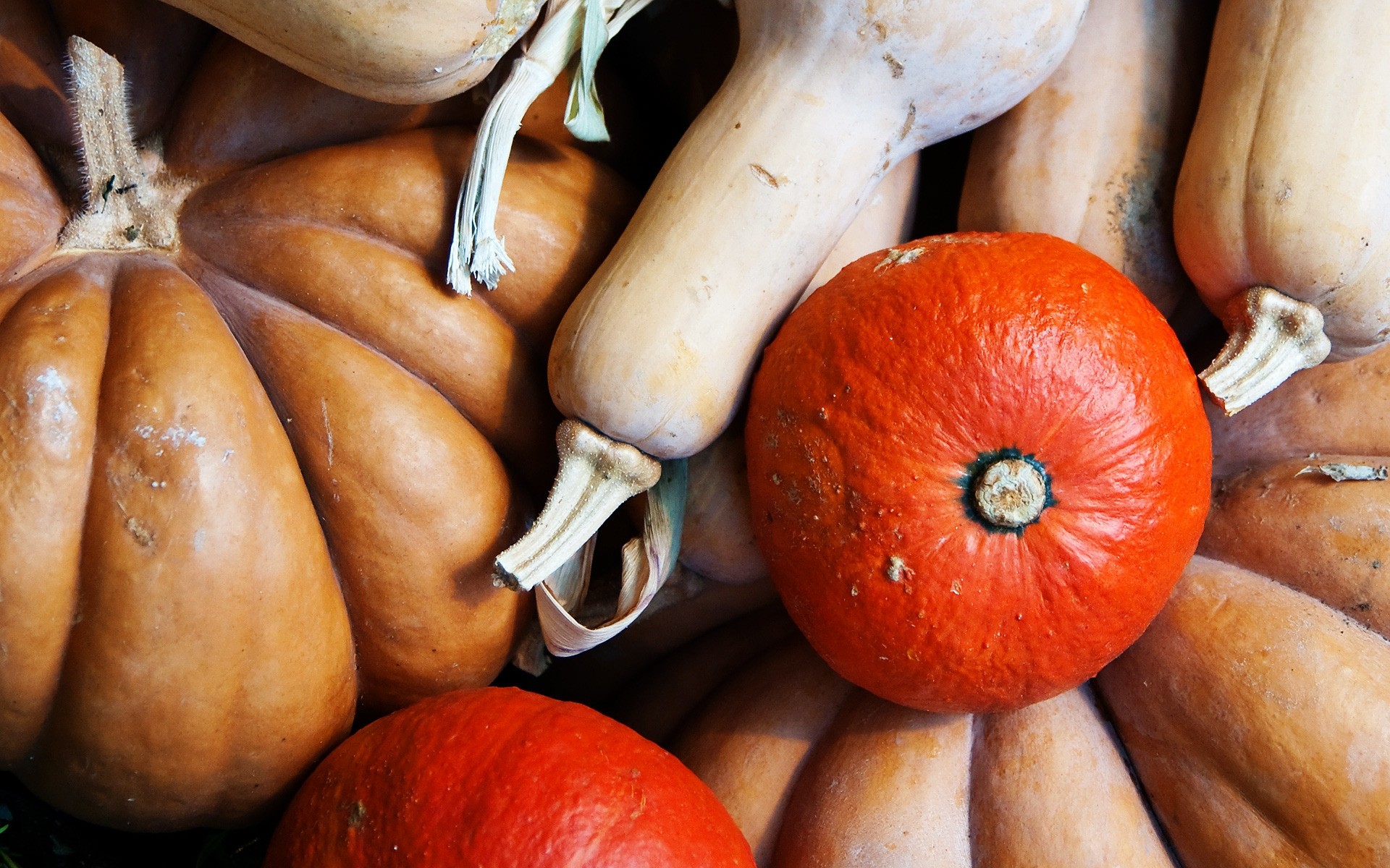 herbst essen herbst obst kürbis weide halloween desktop holz markt lecker gesund gesundheit landwirtschaft gemüse essen süßwaren