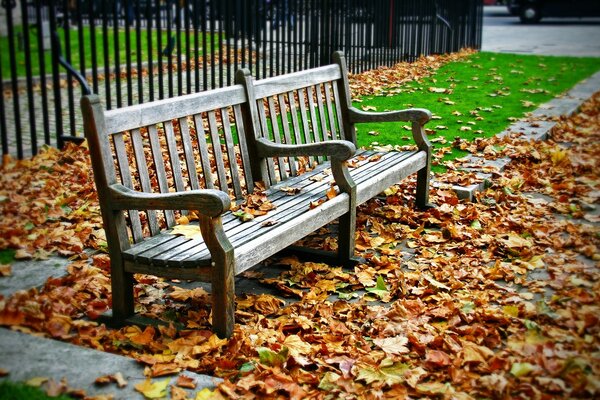 Bank im Park vor dem Hintergrund der Herbstlandschaft