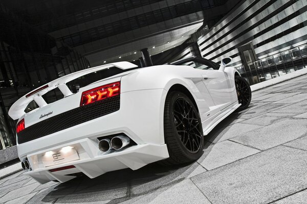 White lamborghini with black wheels