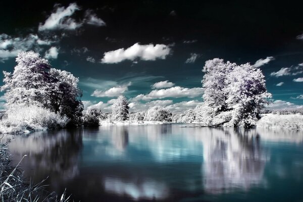 Winter landscape of fluffy trees