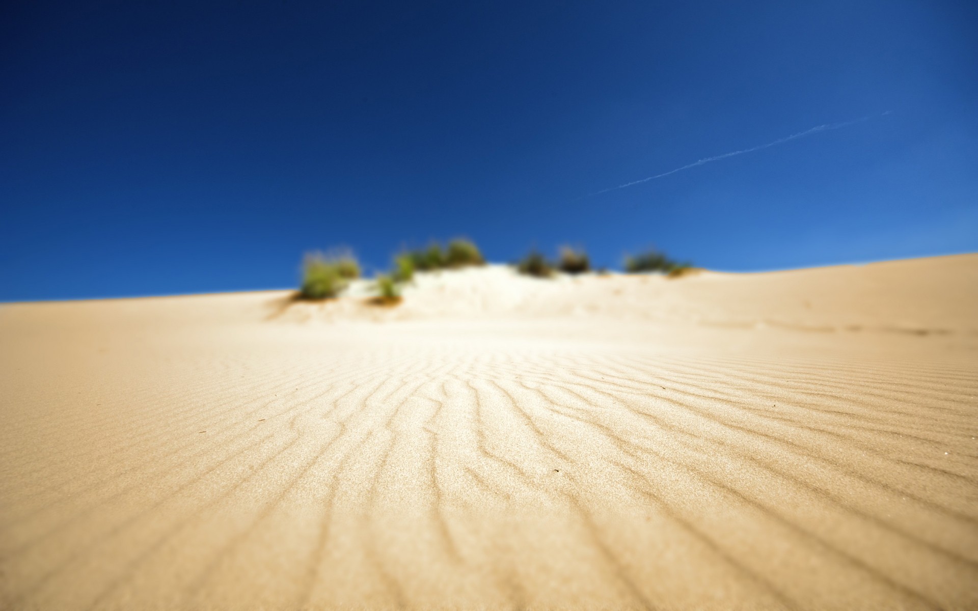 paysage sable désert plage paysage dune soleil chaud beau temps la nature ciel voyage stérile mer été mer ombre océan à l extérieur aride