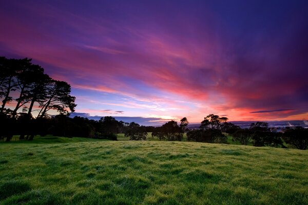 Paysage de coucher de soleil. Clairière verte