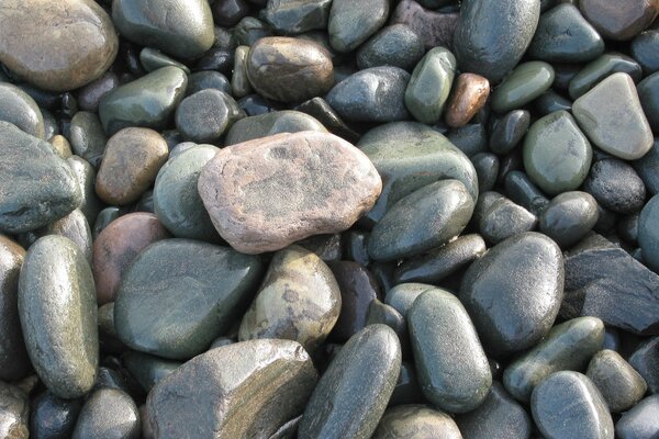 Mar cielo piedras marea