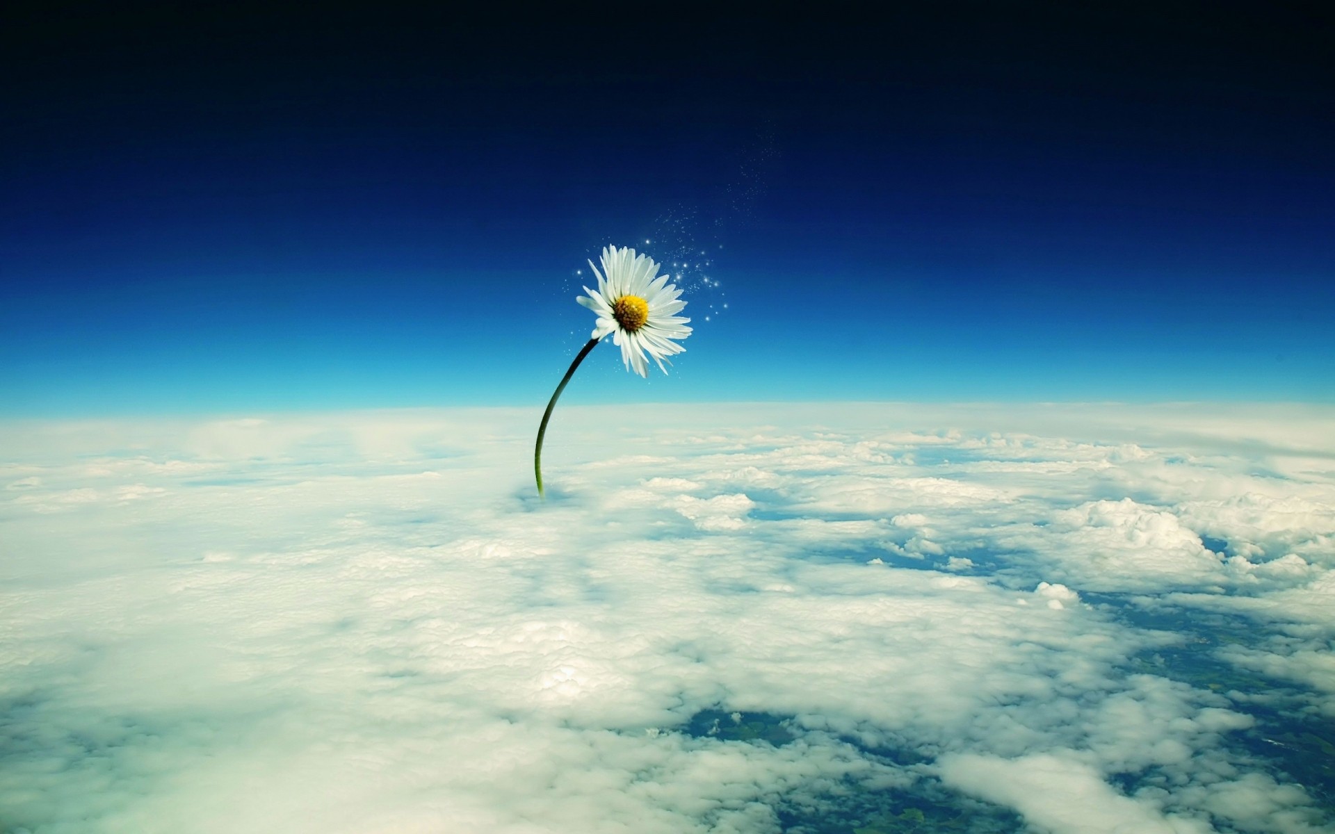 flowers sky sun nature fair weather outdoors light landscape space weather cloud summer heaven daylight moon freedom atmosphere